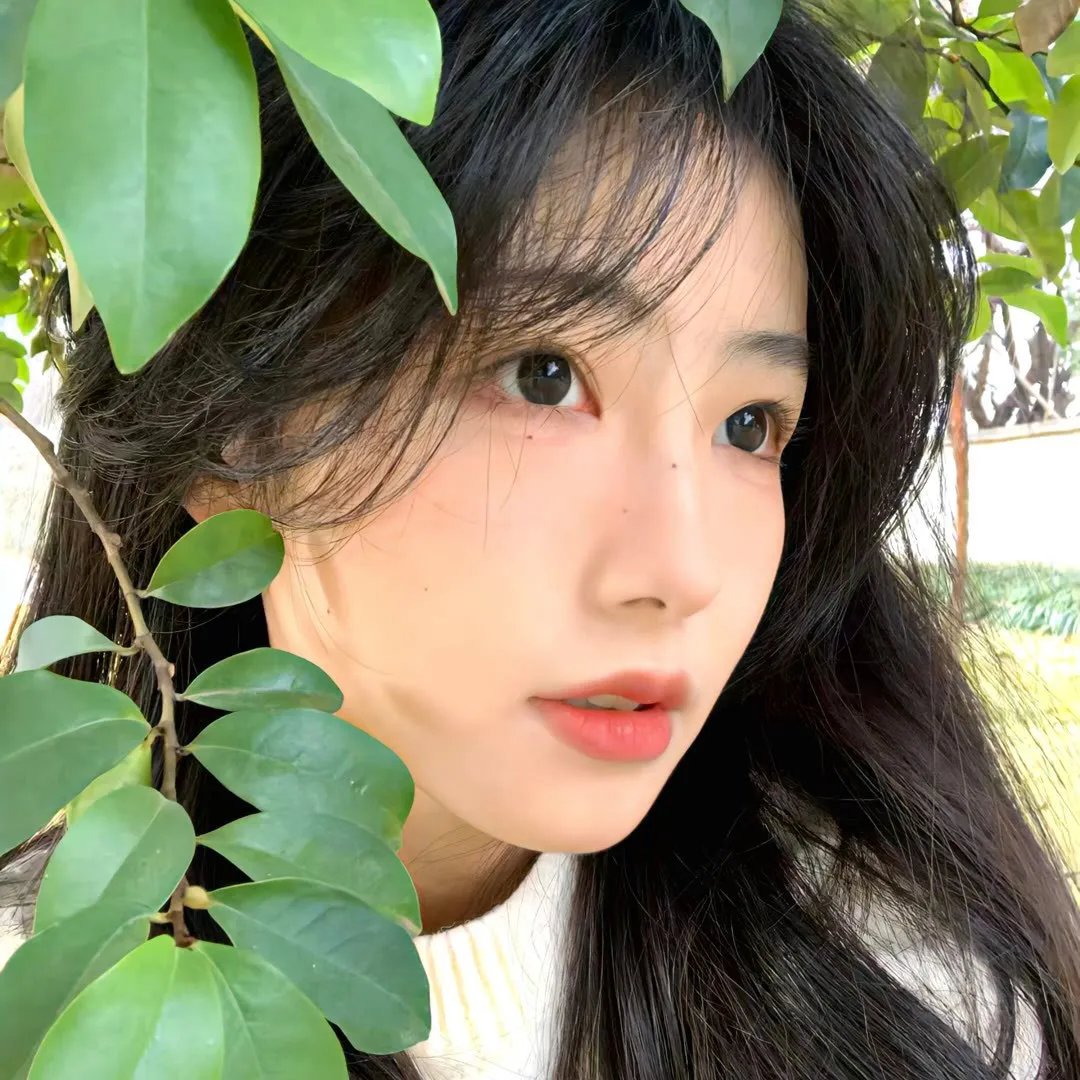 飘动的红丝带 海报