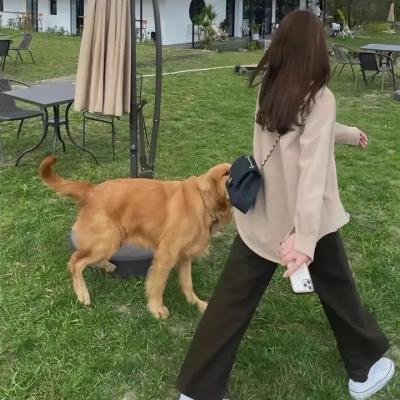 购物惊魂记 海报